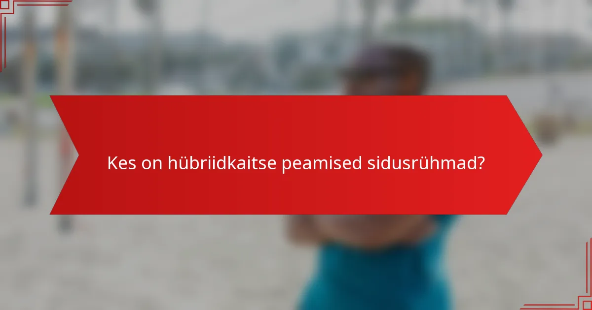 Kes on hübriidkaitse peamised sidusrühmad?
