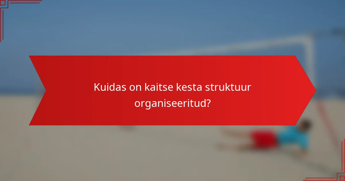 Kuidas on kaitse kesta struktuur organiseeritud?