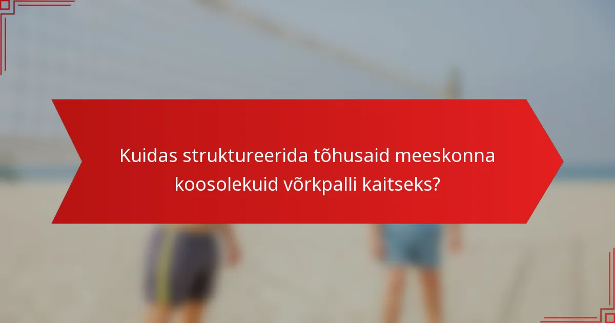 Kuidas struktureerida tõhusaid meeskonna koosolekuid võrkpalli kaitseks?
