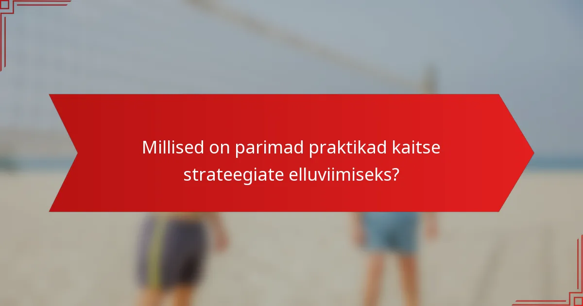 Millised on parimad praktikad kaitse strateegiate elluviimiseks?